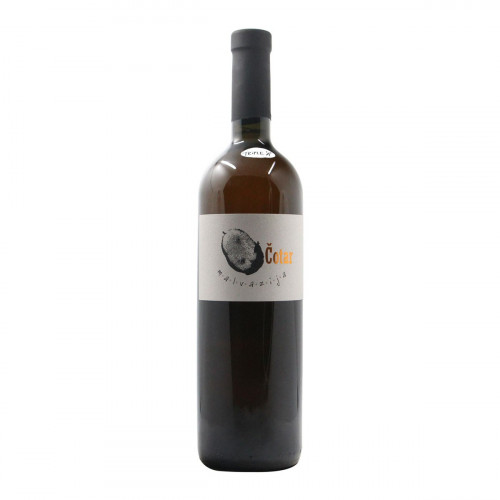 Malvasia Istriana 2014