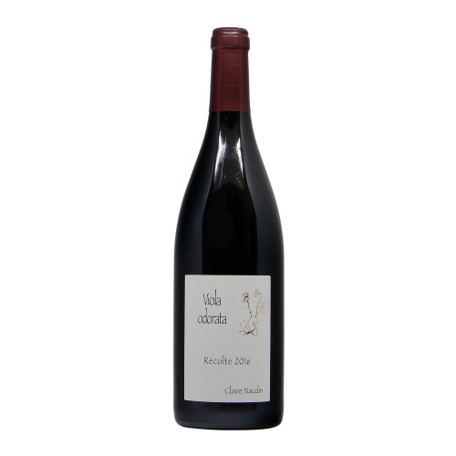 COTE DE NUITS VIOLA ODORATA 2016