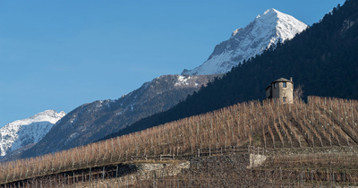 I vini della Valle d'Aosta in vendita su Grandi Bottiglie